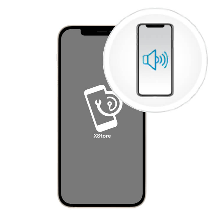 Loud Speaker Repair